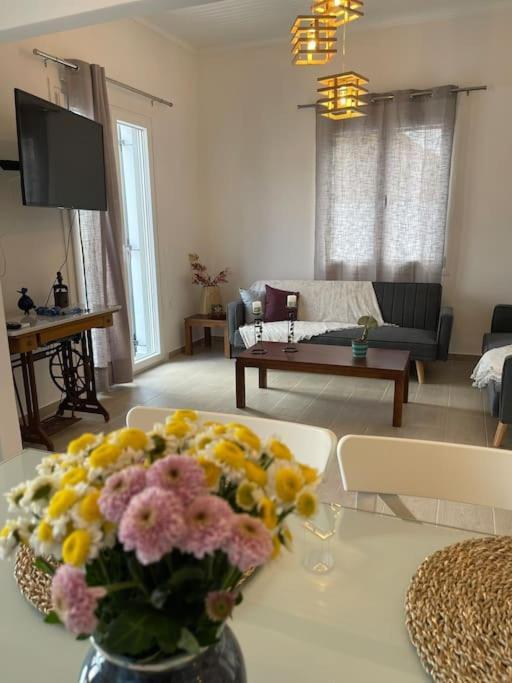 Appartement Nano's House οροφοδιαμέρισμα στο κέντρο Spétses