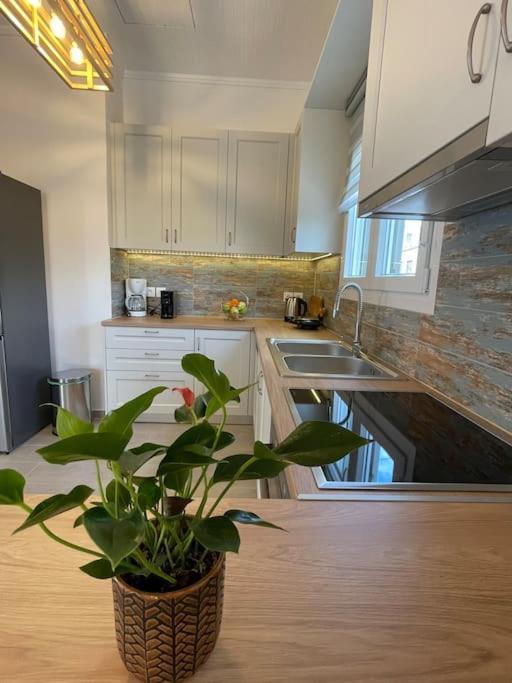 Appartement Nano's House οροφοδιαμέρισμα στο κέντρο